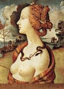 Portrait of Simonetta Vespucci Piero di Cosimo
